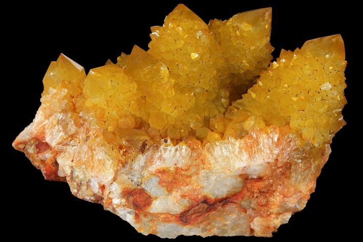 Sunshine Cactus Quartz Crystal - South Africa #98386